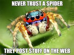 Image result for Giant Spider Meme