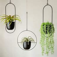 Image result for Ceiling Hanging Plant Holder