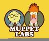 Image result for Muppets Beaker and Bunsen