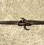 Image result for Antique Barb Wire