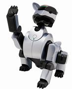 Image result for Aibo 2