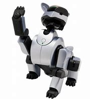 Image result for Aibo Ers 210 Front-Facing