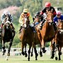 Image result for Horse Racing Screensaver