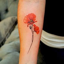 Image result for Remembrance Poppy Tattoo