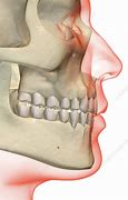 Image result for Jawbone Images