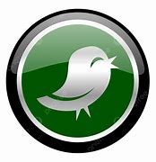 Image result for Green Twitter PNG