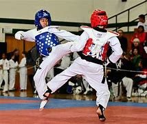 Image result for Taekwondo Tournament