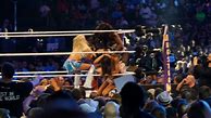 Image result for WWE Natalya and Nikki Bella