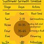 Image result for Plant Growth Charts and Graphs