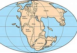 Image result for Biogeography Supercontinent Pangea