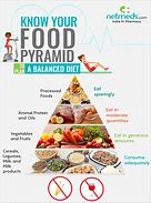 Image result for Define Food Pyramid