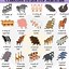 Image result for Collective Nouns Animalscows