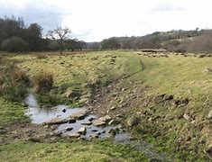 Image result for Stepping Stone Path Birds Eye View