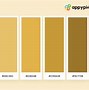 Image result for Champagne Hex Colour