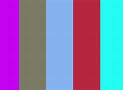 Image result for Random Color Palette