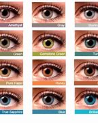 Image result for Multifocal Colored Contact Lenses