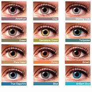 Image result for Different Brands of Contact Lenses