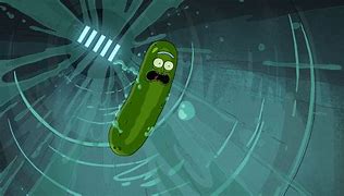 Image result for Pickle Rick Morty
