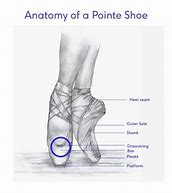 Image result for Pointe Shoe Diagram