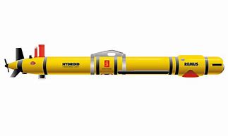 Image result for Remus 600 Auv