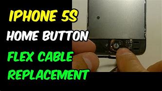 Image result for Home Buton Cable Danage iPhone 5S
