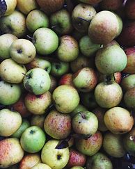 Image result for Aesthetic Apple Food