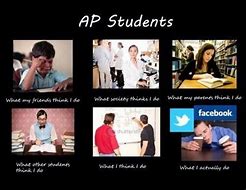 Image result for AP Seminar Memes