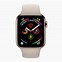 Image result for Apple Watch Reciept Series 3