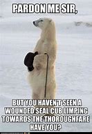 Image result for Polar Bear Meme