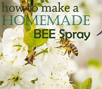 Image result for Homemade Wasp Killer Spray