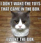 Image result for Really Cute Cat Memes