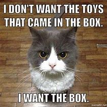 Image result for Funny Memes Toy Cats