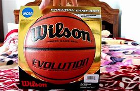 Image result for Basketball Evolution Ball