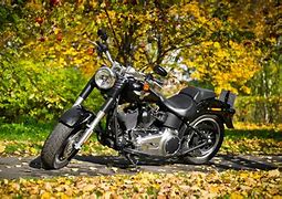 Image result for Harley-Davidson Pics
