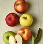 Image result for Apple Cider Mill