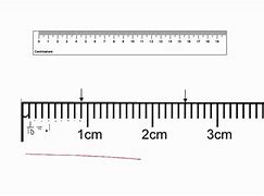 Image result for 2 5 Cm On a Ruler