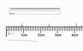 Image result for What Does 1 Cm Look Like
