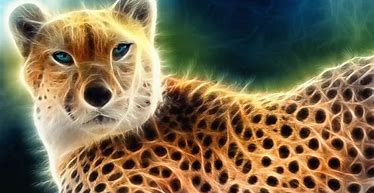 Image result for Cool Animal Graphics