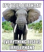 Image result for Happy Birthday Meme Cute Animals