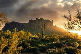 Image result for Nature Guide Arizona