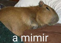 Image result for Mimir Meme