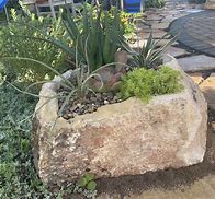 Image result for Natural Planters