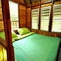 Image result for Winter House Chiang Mai