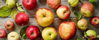 Image result for Species of Apple's