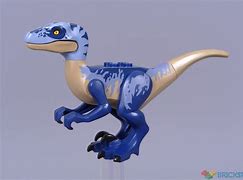 Image result for Raptor Meme 1080X1080