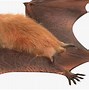 Image result for Bat Skin Fur Print