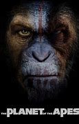 Image result for Rise Planet of the Apes Caesar