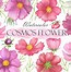 Image result for Cosmos Pink Clip Art