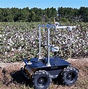 Image result for Black Robot Picking Cotton