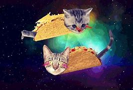 Image result for iPhone 7 Cat in Space Case